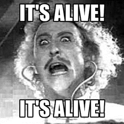 Name:  Young-Frankenstein1.jpg
Views: 1415
Size:  50.1 KB